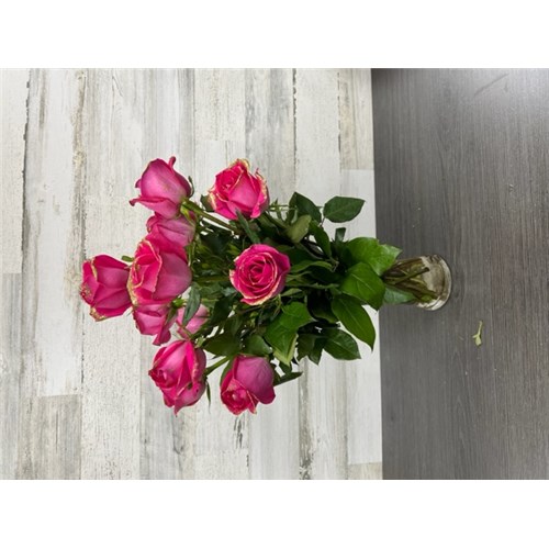 1_Dozen_Pink_Glittered