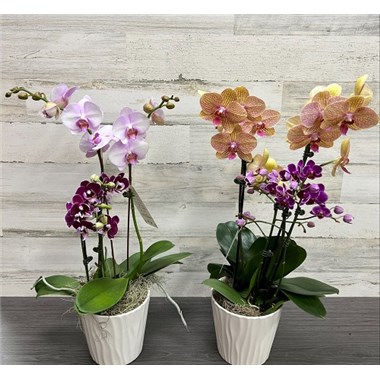 processed-DCDBEAD8-1C01-4541-84E9-41C941BA9BF6-EEA923B0-7282-4314-A508-29BC5E98C131